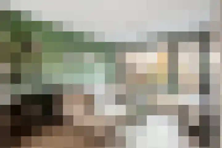 Laan van Brussel 86 Alkmaar thumbnail 10