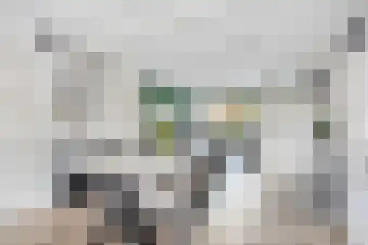 Laan van Brussel 86 Alkmaar thumbnail 12