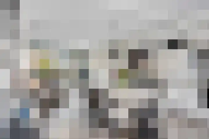 Laan van Brussel 86 Alkmaar thumbnail 13