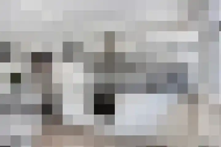 Laan van Brussel 86 Alkmaar thumbnail 15