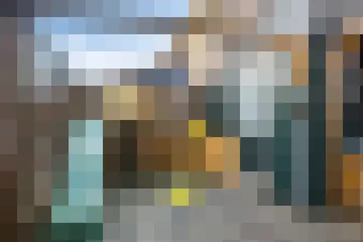 Laan van Brussel 86 Alkmaar thumbnail 21