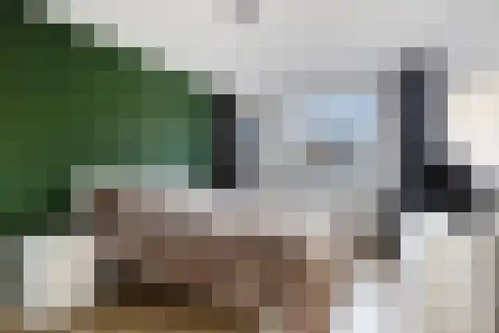 Laan van Brussel 86 Alkmaar thumbnail 29