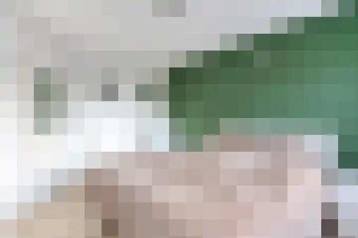 Laan van Brussel 86 Alkmaar thumbnail 30