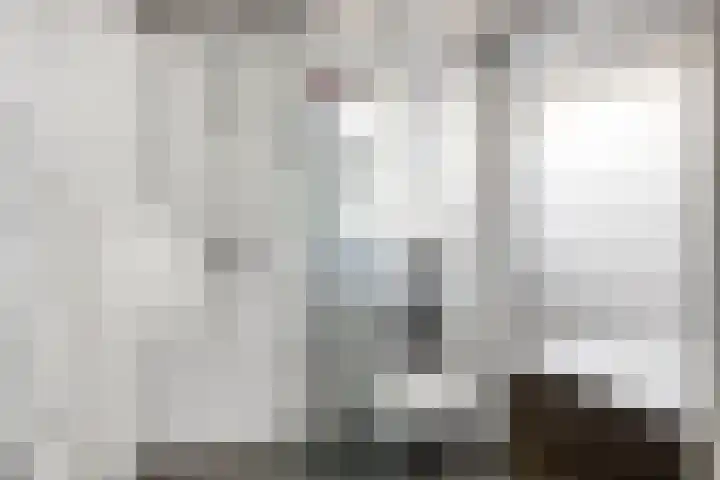 Laan van Brussel 86 Alkmaar thumbnail 31