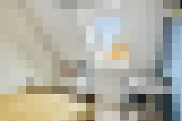 Laan van Brussel 86 Alkmaar thumbnail 33