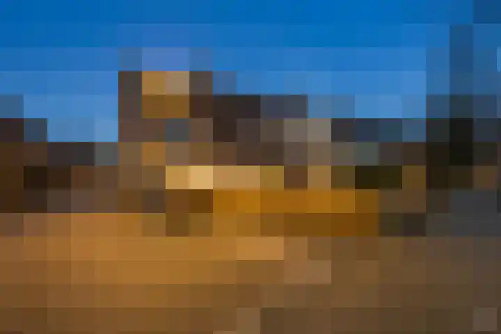 Laan van Brussel 86 Alkmaar thumbnail 4