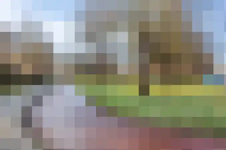 Laan van Brussel 86 Alkmaar thumbnail 43
