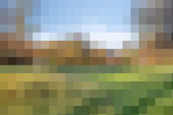 Laan van Brussel 86 Alkmaar thumbnail 44