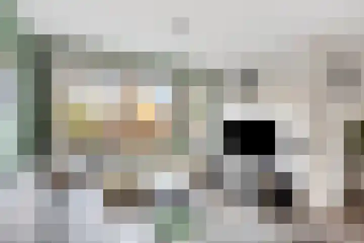 Laan van Brussel 86 Alkmaar thumbnail 9