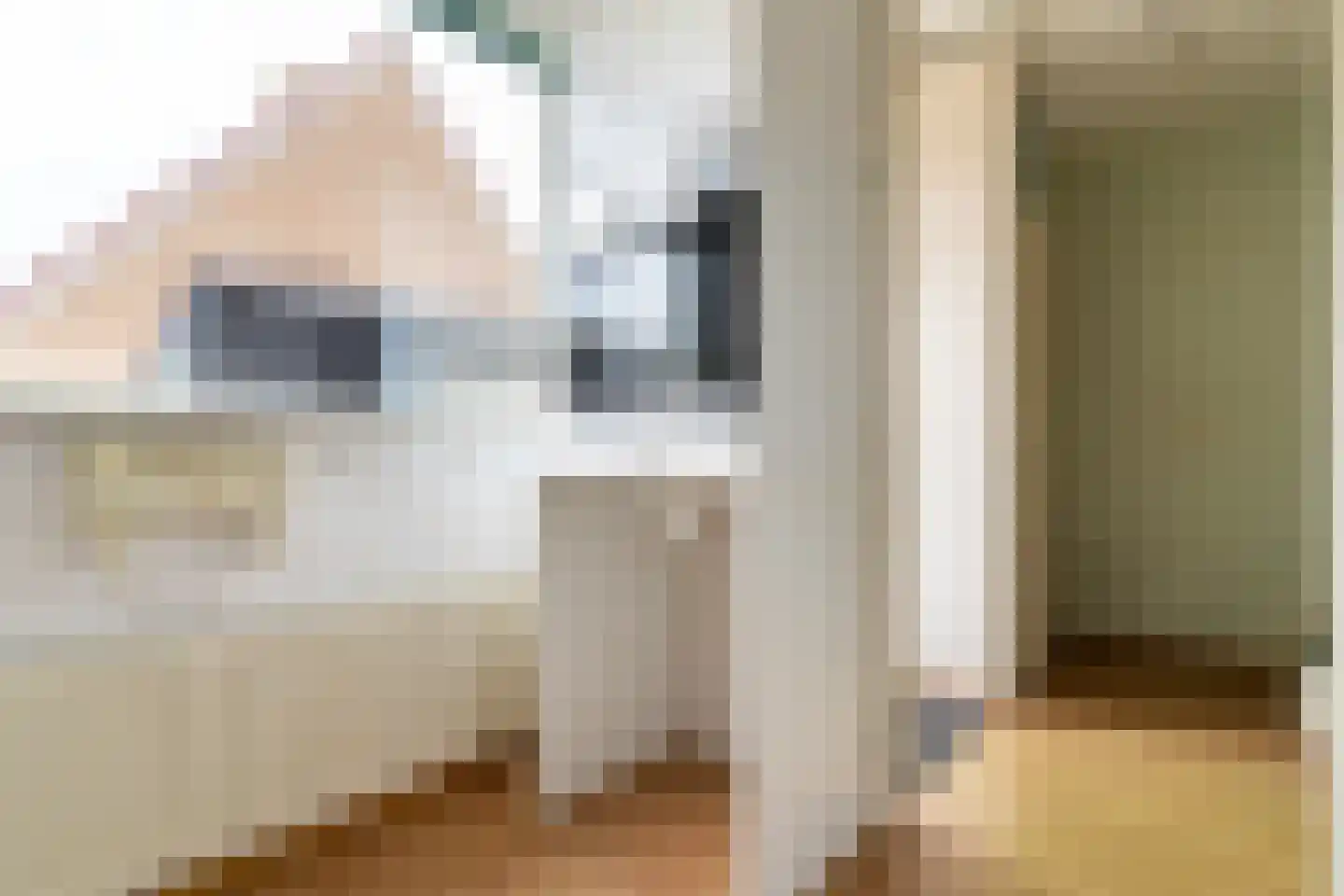 Laan van Brussel 90 Alkmaar thumbnail 13