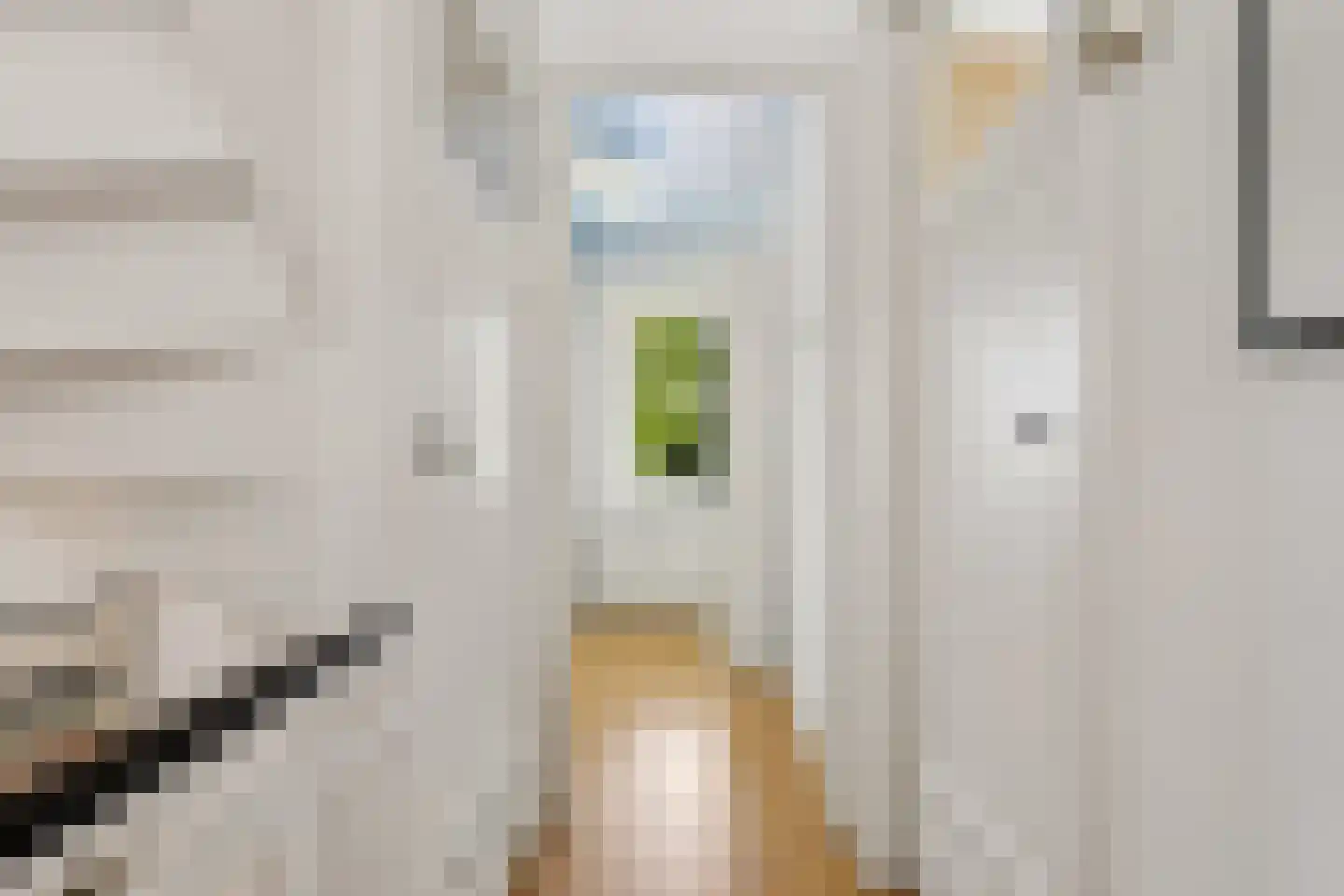 Laan van Cattenbroeck 119 Zeist thumbnail 33