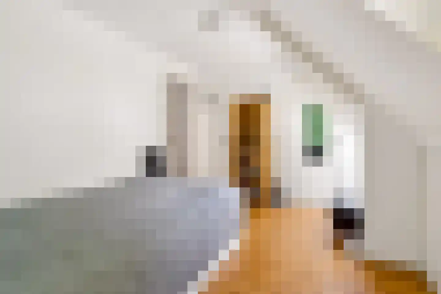 Laan van Cattenbroeck 119 Zeist thumbnail 47