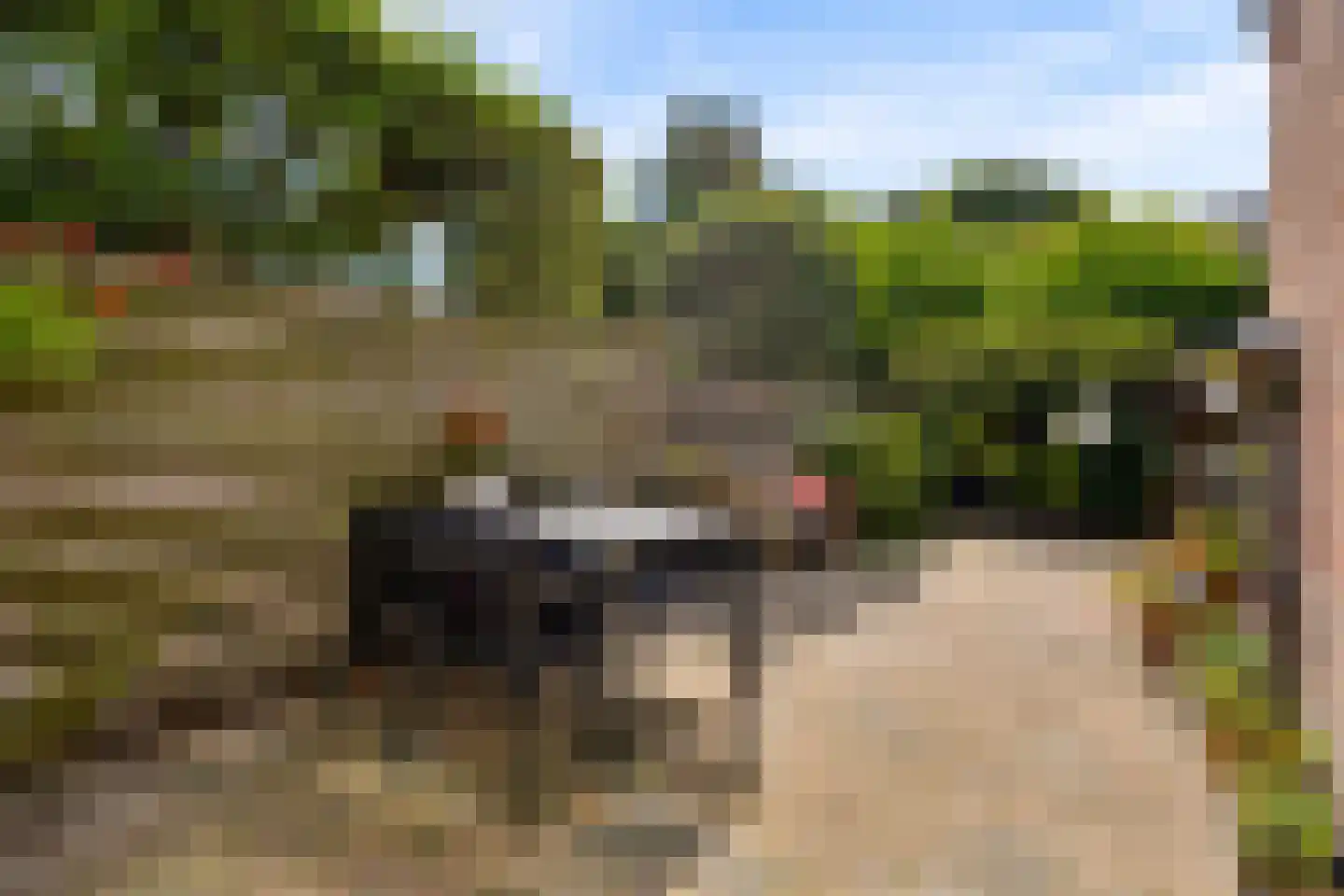 Laan van Cattenbroeck 119 Zeist thumbnail 59