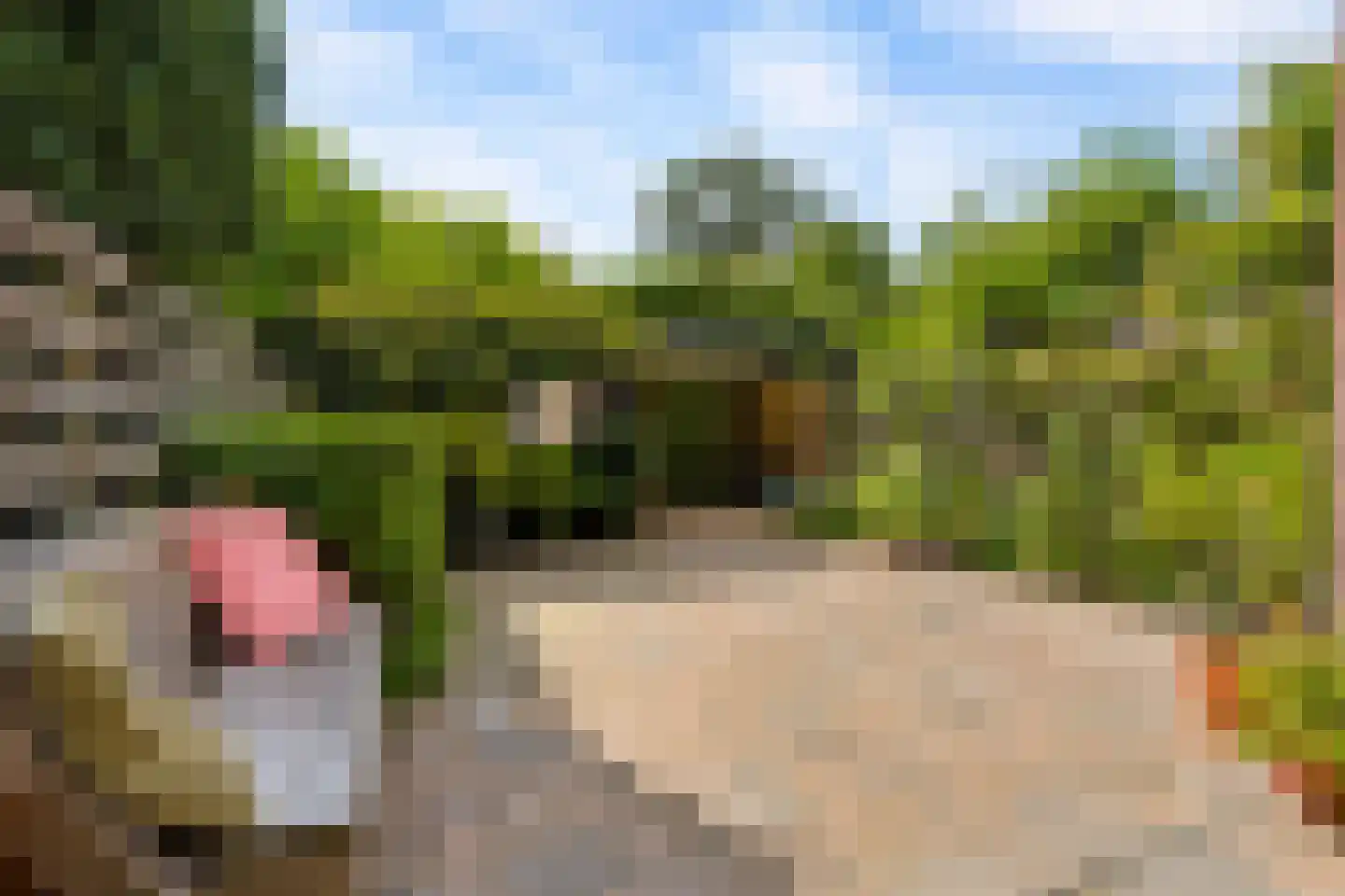 Laan van Cattenbroeck 119 Zeist thumbnail 60