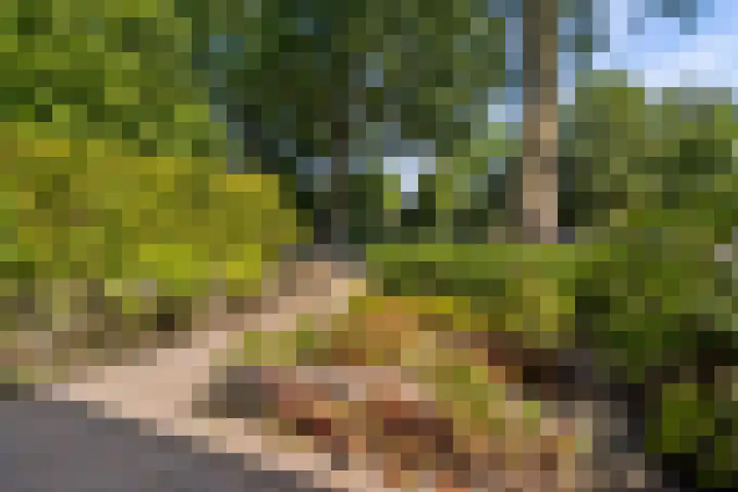 Laan van Cattenbroeck 119 Zeist thumbnail 64