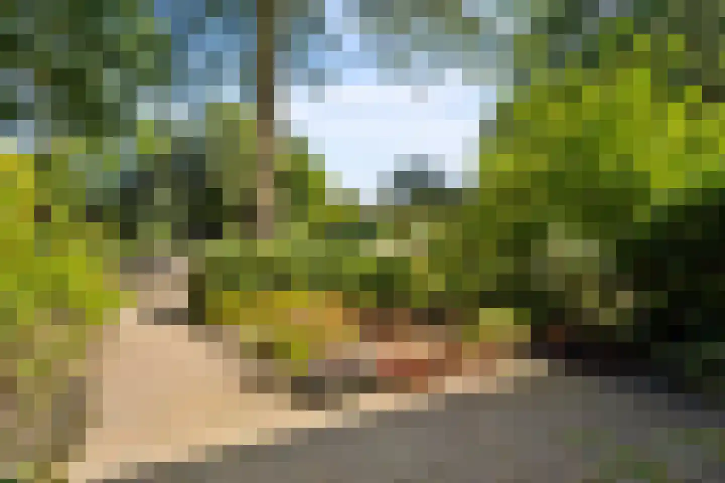 Laan van Cattenbroeck 119 Zeist thumbnail 65
