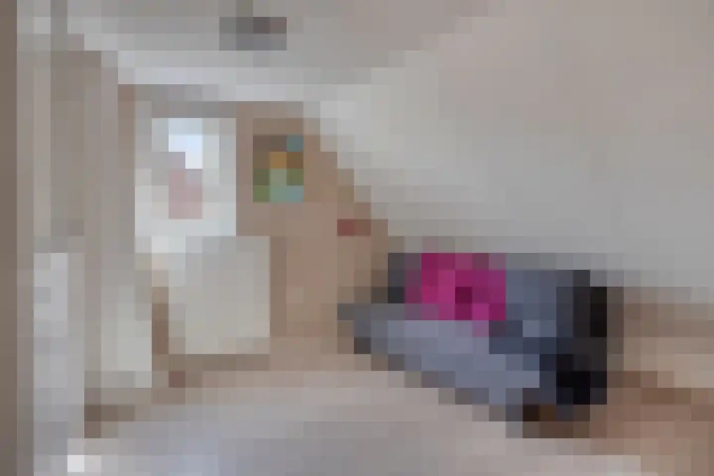 Laan van Cattenbroeck 36 Zeist thumbnail 27