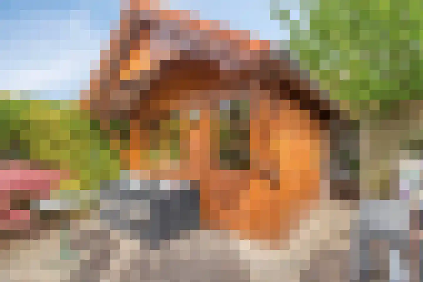 Laan van Cattenbroeck 36 Zeist thumbnail 31