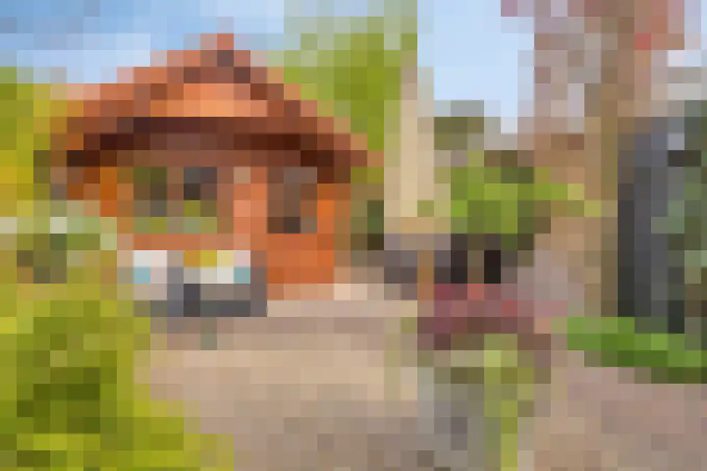 Laan van Cattenbroeck 36 Zeist thumbnail 33