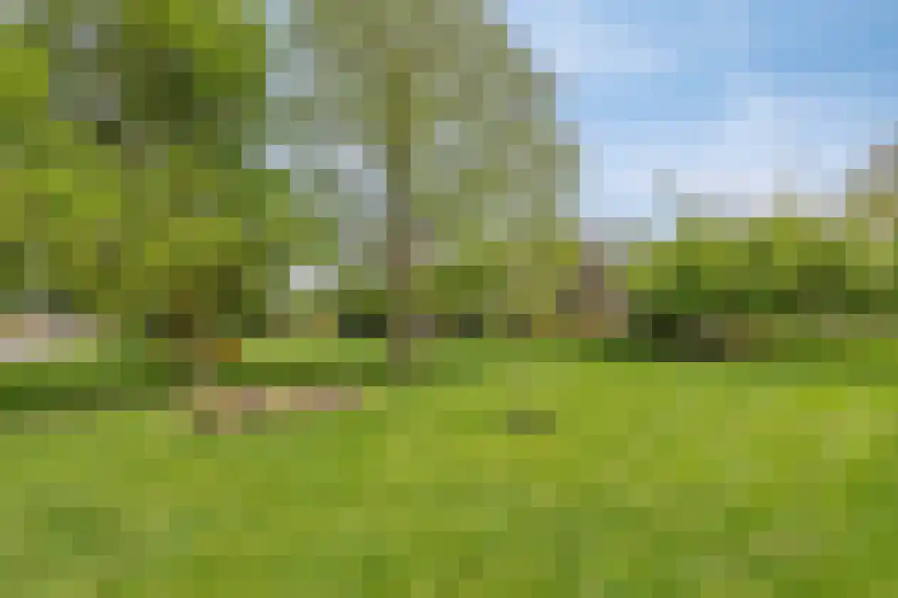 Laan van Cattenbroeck 36 Zeist thumbnail 36