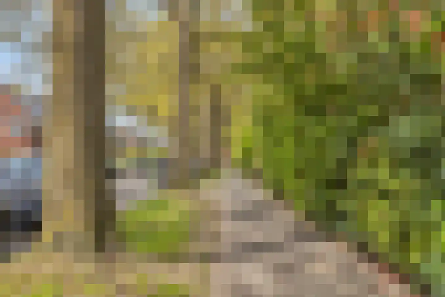 Laan van Cattenbroeck 36 Zeist thumbnail 37