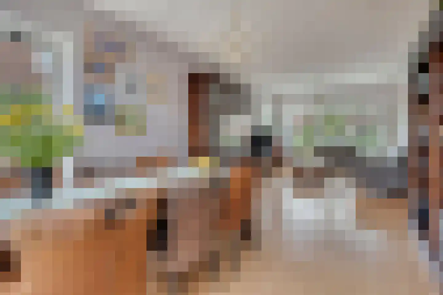 Laan van Cattenbroeck 36 Zeist thumbnail 8