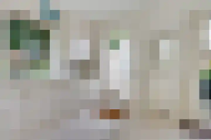Laan van Cattenbroeck 4 Zeist thumbnail 10