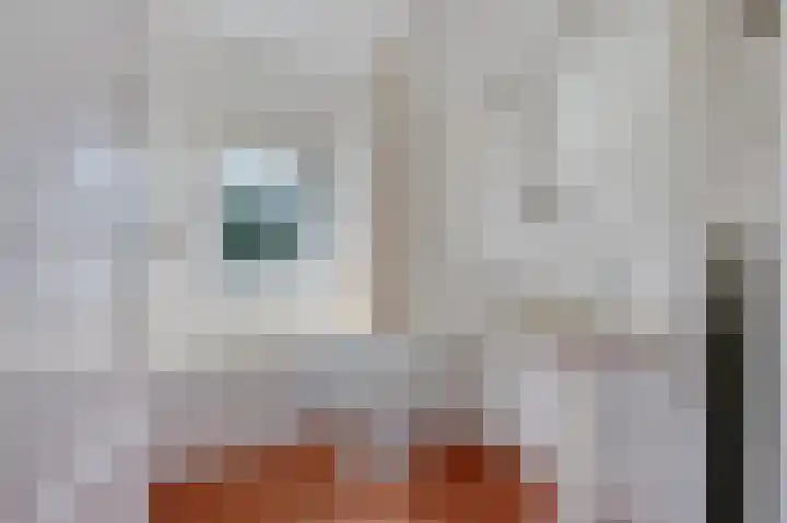 Laan van Cattenbroeck 4 Zeist thumbnail 17
