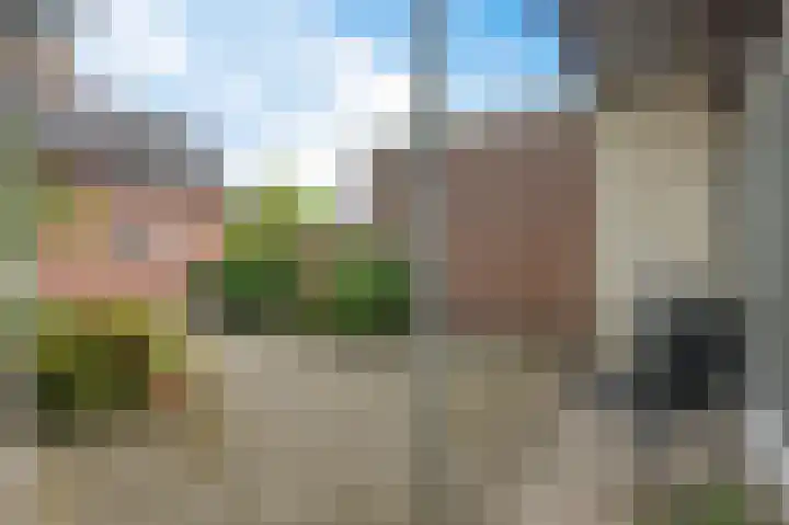 Laan van Cattenbroeck 4 Zeist thumbnail 22