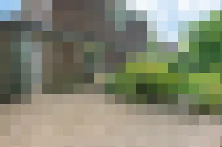 Laan van Cattenbroeck 4 Zeist thumbnail 26
