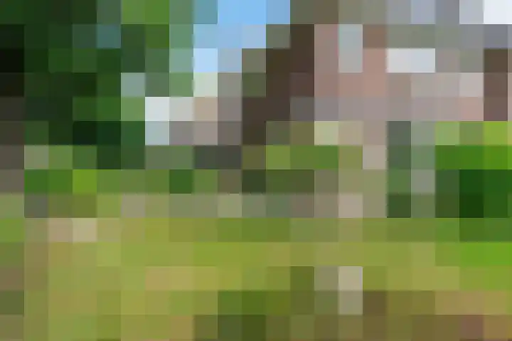 Laan van Cattenbroeck 4 Zeist thumbnail 27
