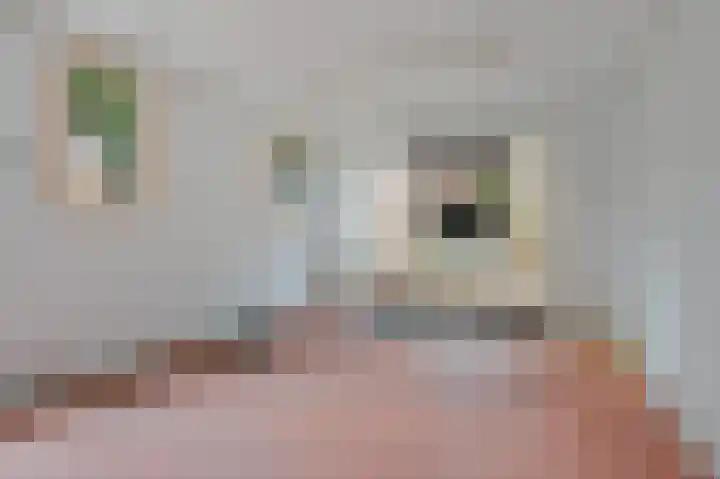 Laan van Cattenbroeck 4 Zeist thumbnail 30