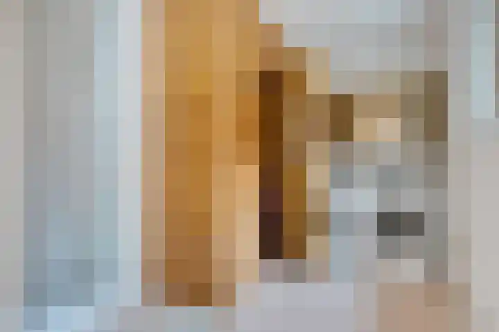 Laan van Cattenbroeck 4 Zeist thumbnail 31