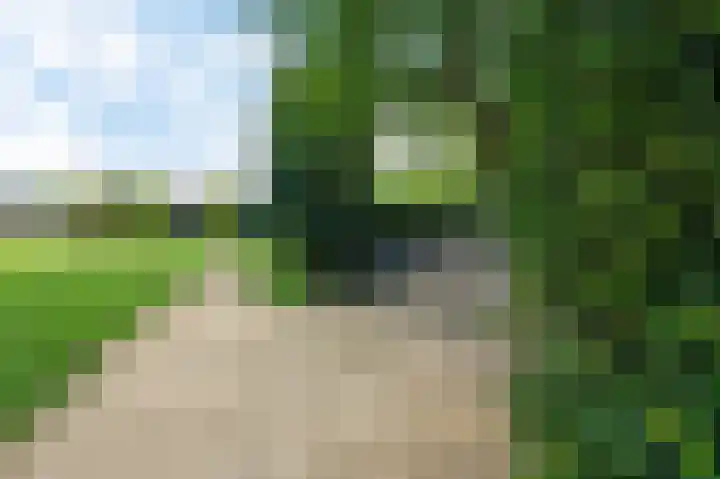 Laan van Cattenbroeck 4 Zeist thumbnail 33