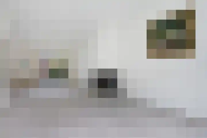 Laan van Cattenbroeck 4 Zeist thumbnail 8