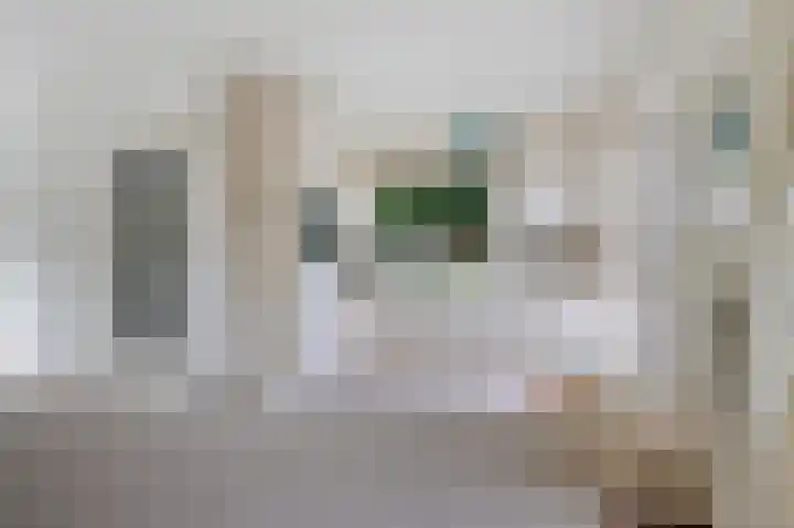 Laan van Cattenbroeck 4 Zeist thumbnail 9