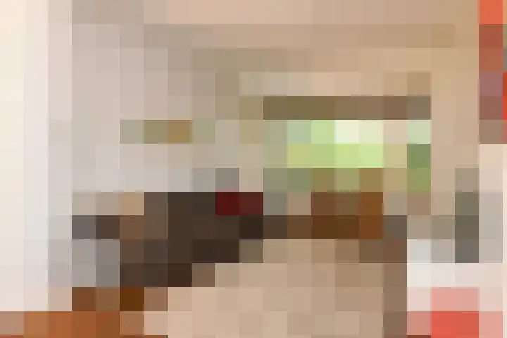 Laan van Cattenbroeck 54 Zeist thumbnail 12