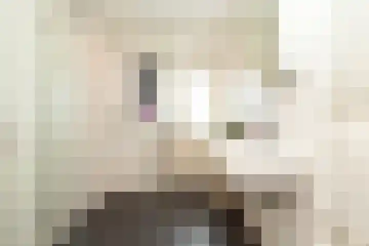 Laan van Cattenbroeck 54 Zeist thumbnail 22