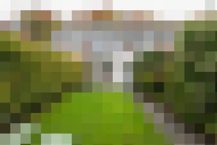 Laan van Cattenbroeck 54 Zeist thumbnail 31