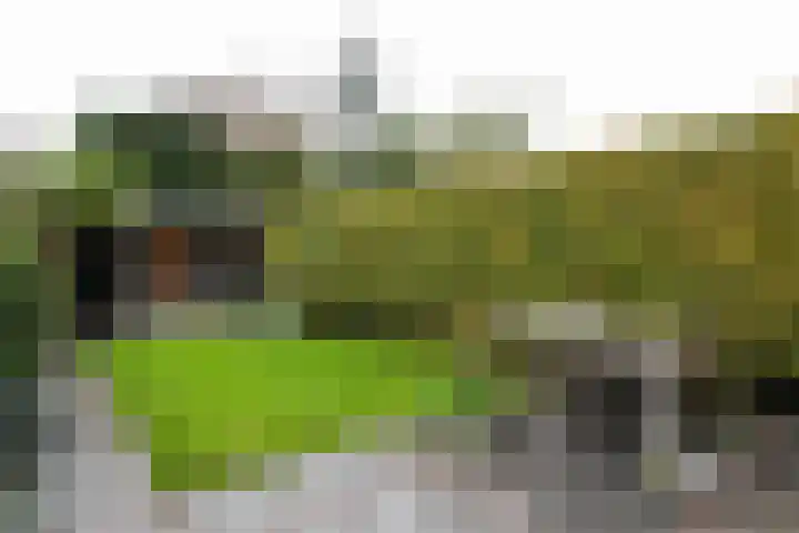 Laan van Cattenbroeck 54 Zeist thumbnail 32