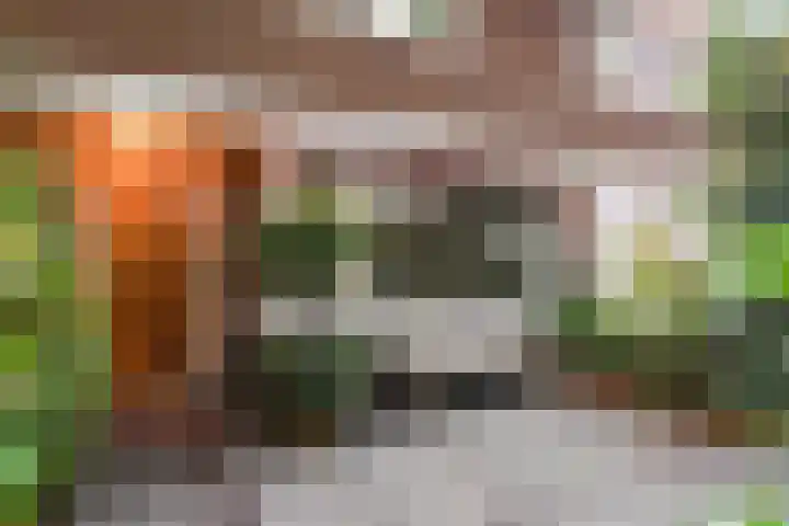Laan van Cattenbroeck 54 Zeist thumbnail 33
