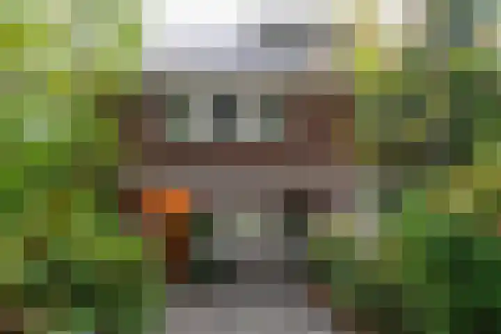Laan van Cattenbroeck 54 Zeist thumbnail 34