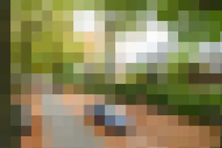 Laan van Cattenbroeck 54 Zeist thumbnail 35
