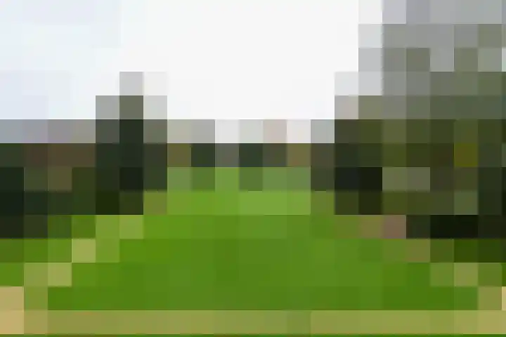 Laan van Cattenbroeck 54 Zeist thumbnail 36