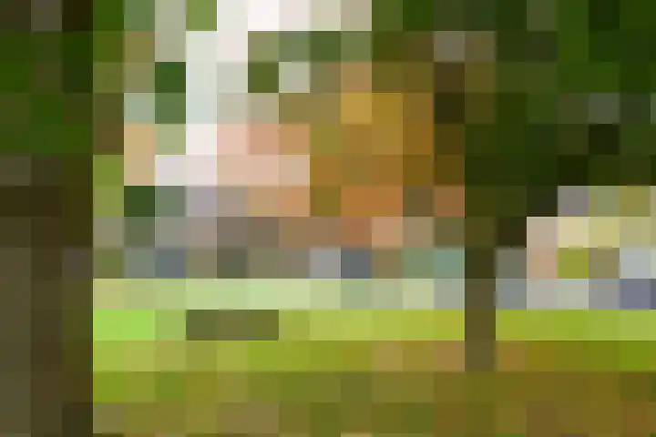Laan van Cattenbroeck 54 Zeist thumbnail 37