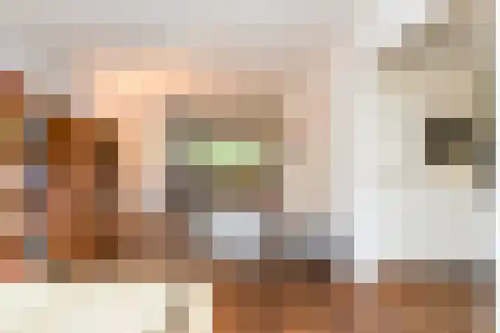 Laan van Cattenbroeck 54 Zeist thumbnail 4