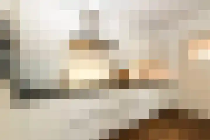 Laan van Cattenbroeck 54 Zeist thumbnail 7