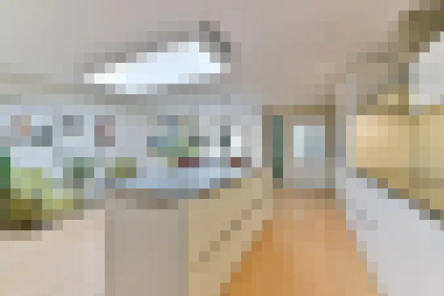 Laan van Cattenbroeck 70 Zeist thumbnail 18
