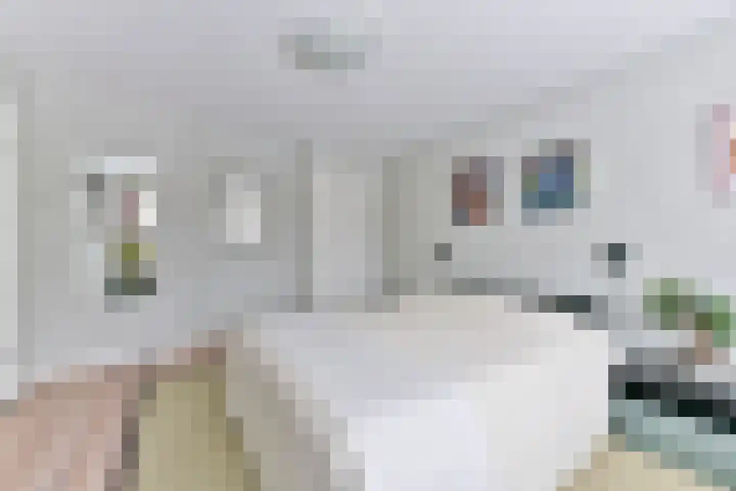 Laan van Cattenbroeck 70 Zeist thumbnail 30
