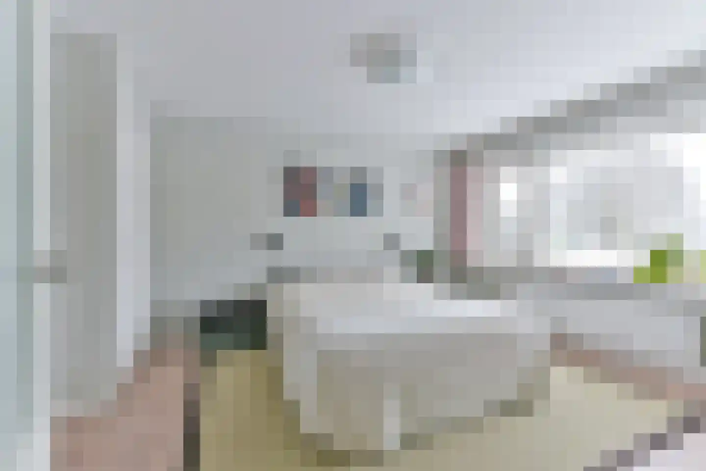 Laan van Cattenbroeck 70 Zeist thumbnail 4